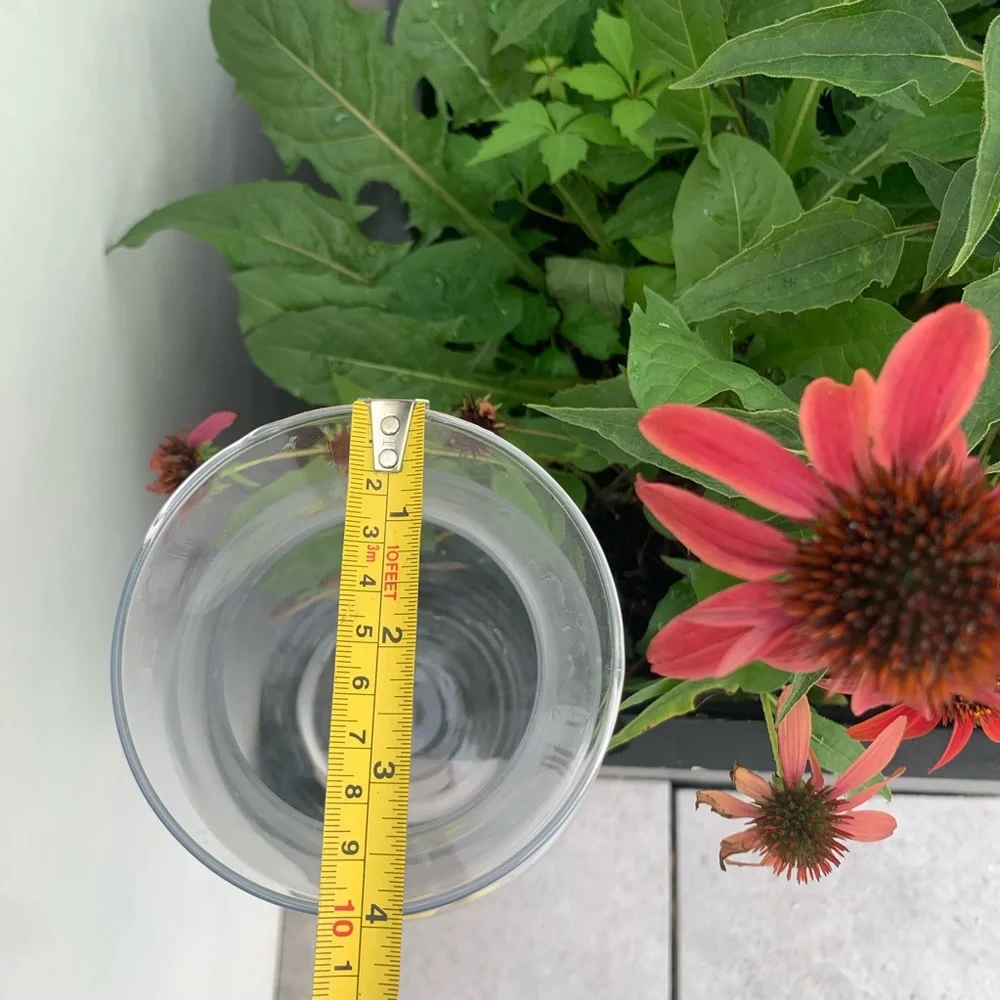 2in1 Glass See Through Floral Vase or Lemonade Water Pitcher